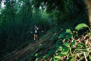 BIB: 
                            <button type="button" onclick="openModal(28123632)" class="btn btn-primary btn-sm float-right btn-popup" data-toggle="modal" data-target=".modal-high-quality">
                        <i class="fas fa-shopping-cart"></i> Add to Cart
                    </button>
                                            <button type="button" onclick="isThisMe(28123632, true)" class="btn btn-success btn-sm float-right btn-popup btn-isme hidden" data-toggle="tooltip" data-placement="bottom" title="นี่คือรูปของคุณใช่ไหม คลิกที่นี่เพื่อเอาเข้าอัลบั้ม">
                        <i class="fas fa-plus"></i> Add to album
                    </button>
                    <button type="button" onclick="isThisMe(28123632, false)" class="btn btn-warning btn-sm float-right btn-popup btn-isnotme hidden">
                        <i class="fas fa-ban"></i> Remove from album
                    </button>